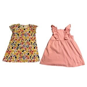 Girls Lot Of 2 Dresses Tea Collection & H & M Sz 3T And 4T